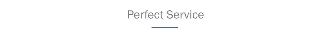 header_perfect service